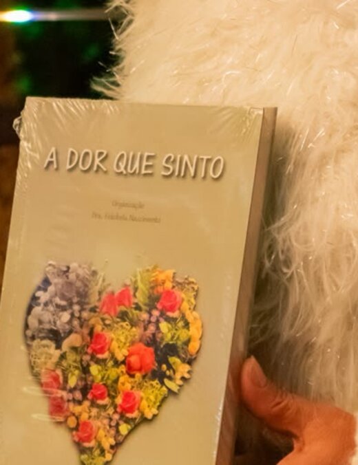Capa do livro A Dor Que Sinto, volume I